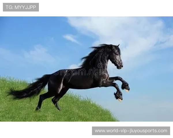 黑马战队战术揭秘，冠军热门无法应对（106 ）